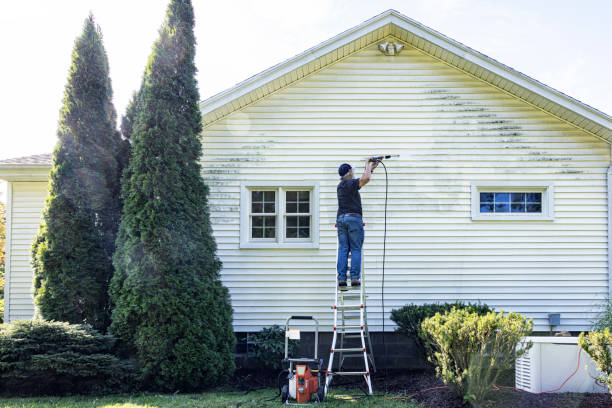 Best House Exterior Washing  in Linden, TX